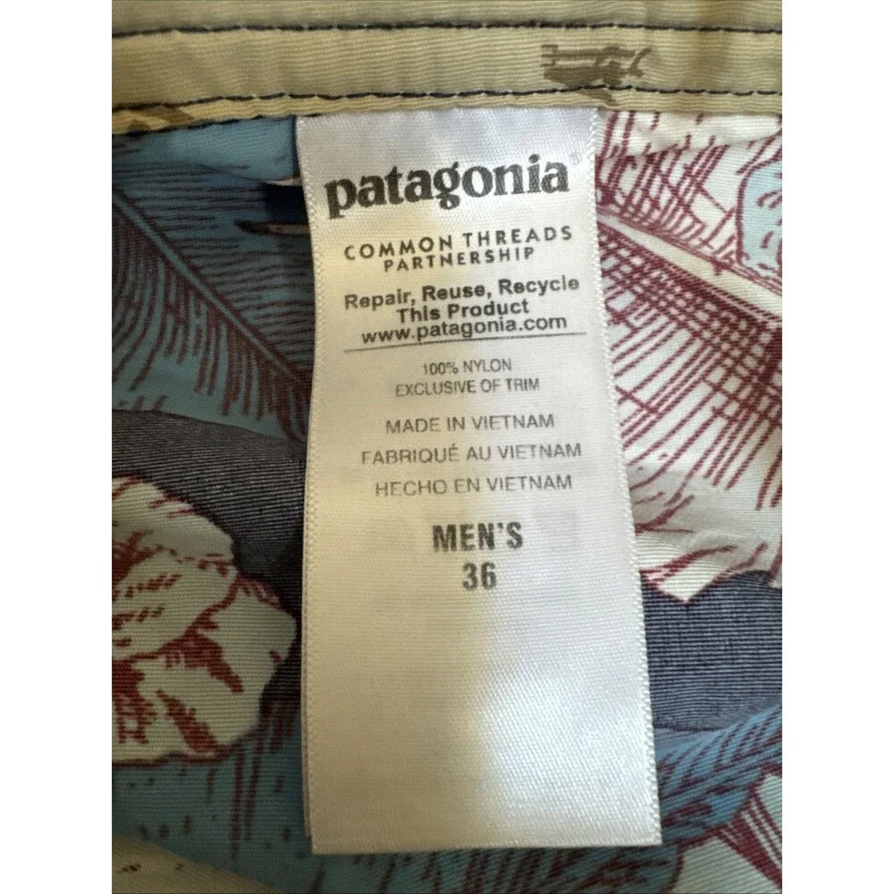 Patagonia hibiscus tropical